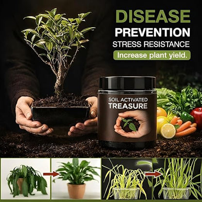 Soil Activator for Plants (Pack of 2)